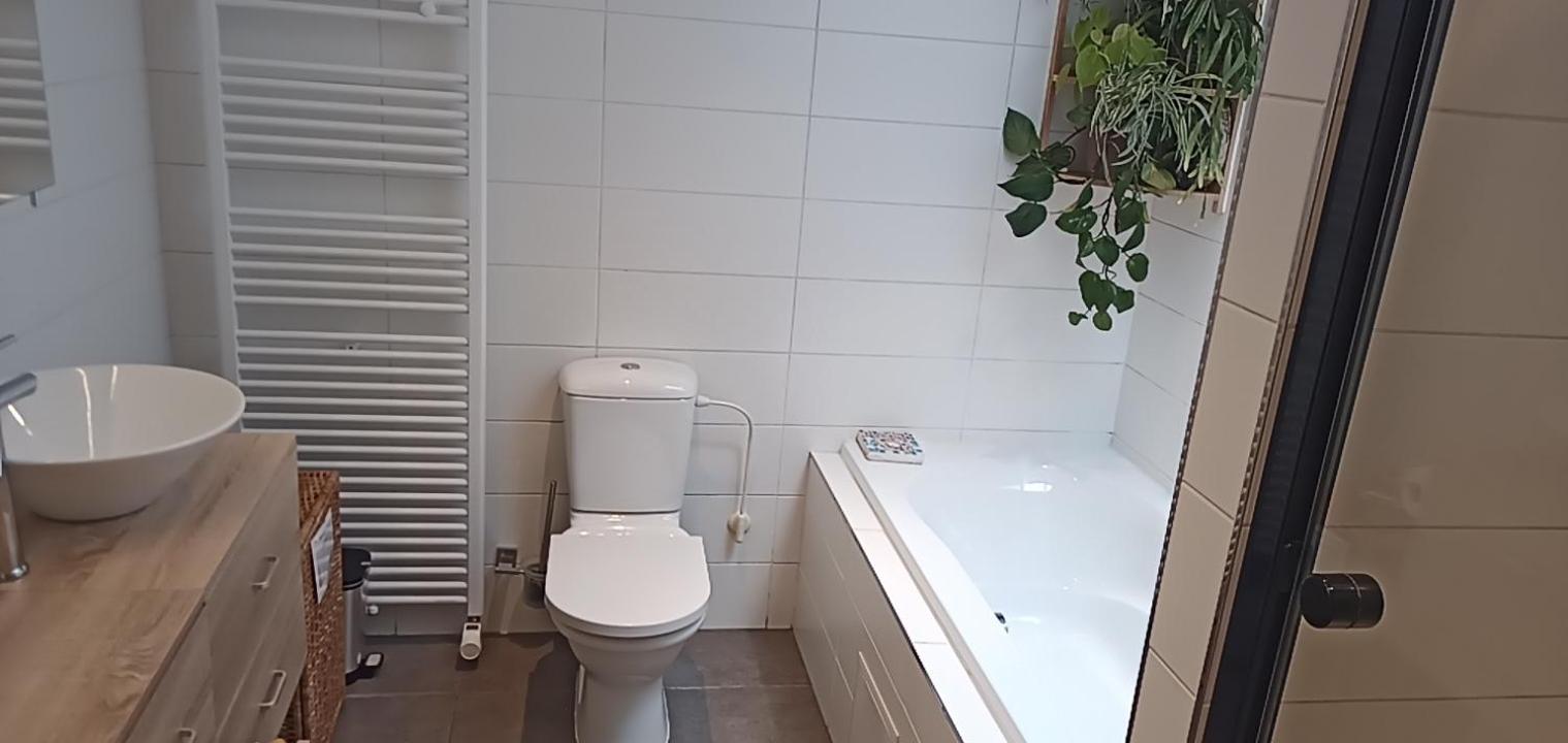 Lodgerivierenhof Antwerpen Eksteriør bilde