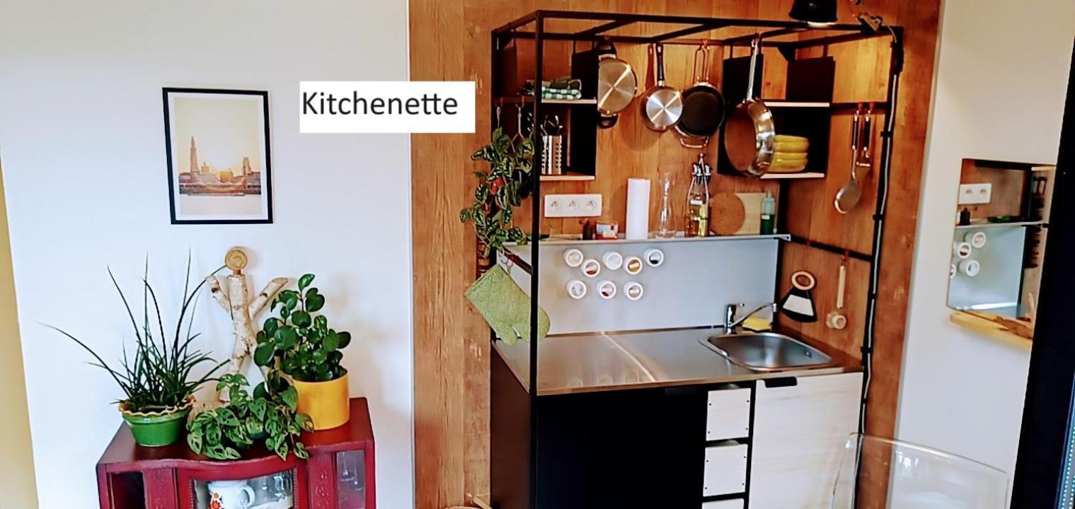 Lodgerivierenhof Antwerpen Eksteriør bilde